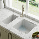 White ceramic double-basin kitchen sink.