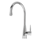 caple-danvers-chrome-single-lever-kitchen-sink-mixer-tap-danch-