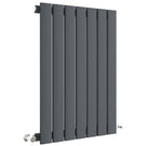 Vertical dark grey column radiator with valves