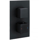 rak-showering-black-thermostatic-dual-outlet-concealed-shower-valve-rakshw3202sb-