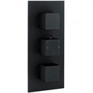 rak-showering-black-thermostatic-2-outlet-concealed-shower-valve---rakshw3203sb-