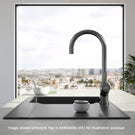 villeroy--boch-umbrella-stainless-steel-kitchen-sink-mixer-tap-