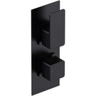 nuie-windon-matt-black-twin-thermostatic-shower-valve-with-diverter---win4tw02-