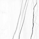 rak-venato-marble-white-1200x1200mm-porcelain-tiles-2-tiles-288m-