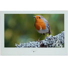 proofvision-43inch-smart-bathroom-tv---white-
