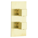 astini-brushed-brass-square-concealed-thermostatic-2-way-shower-valve-