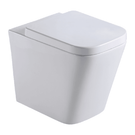 astini-milan-rimlesss-back-to-wall-toilet-pan--seat-
