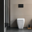 geberit-delta50-black-dual-flush-plate-