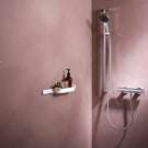 hansgrohe-wallstoris-18-x-39-matt-white-towel-hooks-2pc-