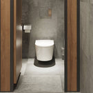 hansgrohe-addstoris-chrome-toilet-brush-holder-