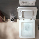 hansgrohe-addstoris-chrome-toilet-brush-holder-