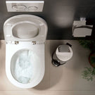 hansgrohe-addstoris-chrome-toilet-brush-holder-