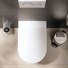 hansgrohe-addstoris-chrome-toilet-brush-holder-