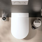 hansgrohe-addstoris-chrome-toilet-brush-holder-