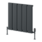 reina-caldaro-horizontal-aluminium-600x620-anthracite-radiator-