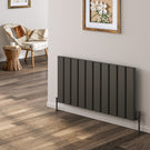 reina-caldaro-horizontal-aluminium-600x1245-anthracite-radiator-