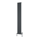 reina-caldaro-vertical-aluminium-1800x245-anthracite-radiator-