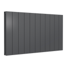 reina-casina-horizontal-double-aluminium-600x1040-anthracite-radiator-