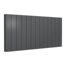 reina-casina-horizontal-double-aluminium-600x1230-anthracite-radiator-