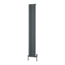 reina-gio-single-aluminium-1800x280-anthracite-radiator-