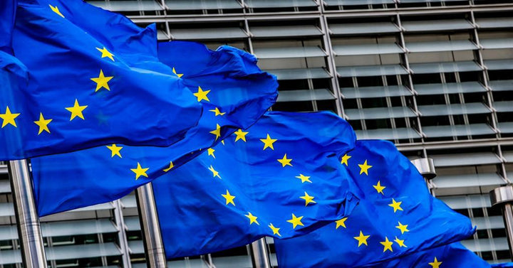 Suspension of DPD European Road Services