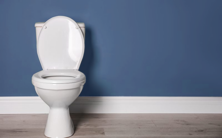 What are the different types of toilets?