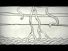 insinkerator-brushed-steel-boiling-hot-kitchen-sink-kettle-tap--tank-