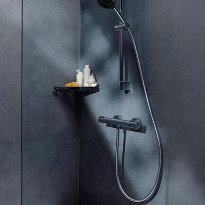 Hansgrohe Ecostat Element Chrome Shower Thermostat for Exposed Installation 13346000