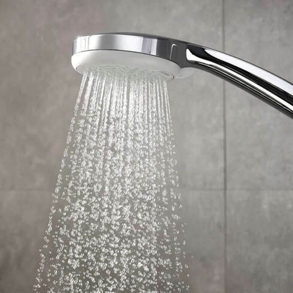 Hansgrohe Croma 100 Hand Shower Vario