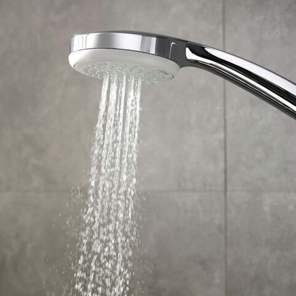 Hansgrohe Croma 100 Hand Shower Vario