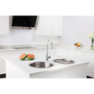 caple-form-450-10-bowl-stainless-steel-kitchen-sink-drainer-di45-