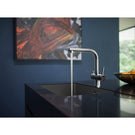 caple-atmore-chrome-dual-lever-kitchen-sink-filter-tap-atmpurch-