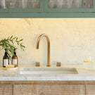 caple-joya-dual-control-gold-kitchen-tap-joygd-