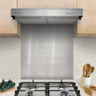 caple-stainless-steel-50cm-conventional-hood-fschss9-