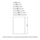 rak-feeling-straight-wetroom-shower-screen-900x2000x8mm---rakfgp900-