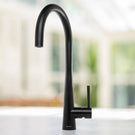 caple-ridley-black-steel-single-lever-tap-ridbs-
