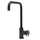 caple-cognitus-stainless-steel-single-control-tap-cogbc-