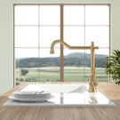 villeroy--boch-avia-brushed-gold-kitchen-sink-mixer-tap-