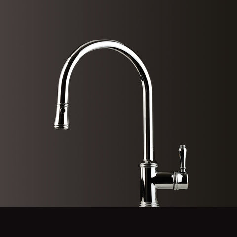 Chambord Augustin Single Lever Pullout Rinse Kitchen Sink Mixer Tap
