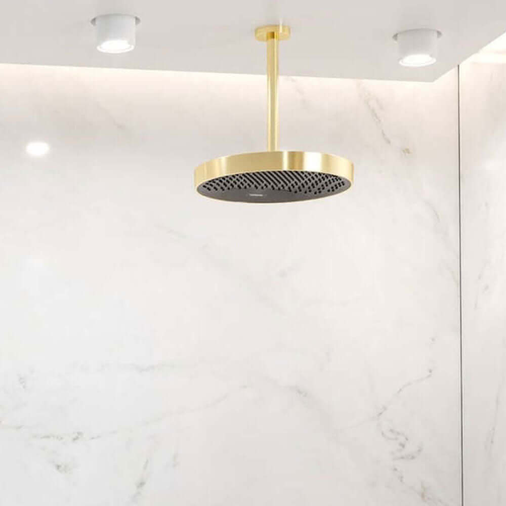 Hansgrohe Shower Head Ceiling Connector S