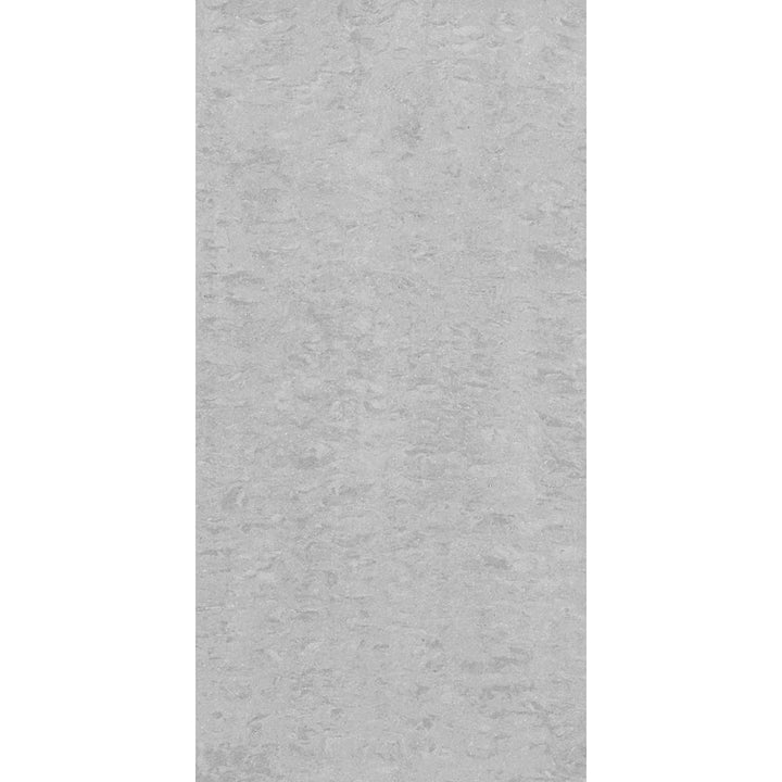 rak-lounge-grey-300x600mm-porcelain-tiles-6-tiles-108mm-