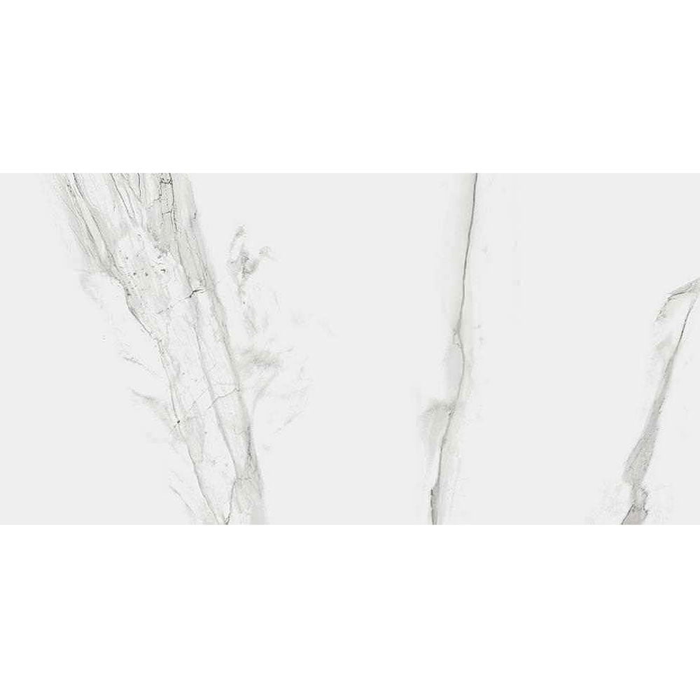 RAK Maximus Classic Carrara Grey 600x1200mm Porcelain Tiles (2 Tiles 1.44m²)