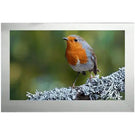 proofvision-43inch-smart-bathroom-tv---mirror-