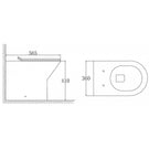 astini-ferrara-rimless-back-to-wall-d-shape-toilet-pan-seat--fittings-
