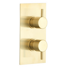astini-brushed-brass-round-concealed-thermostatic-2-way-shower-valve-