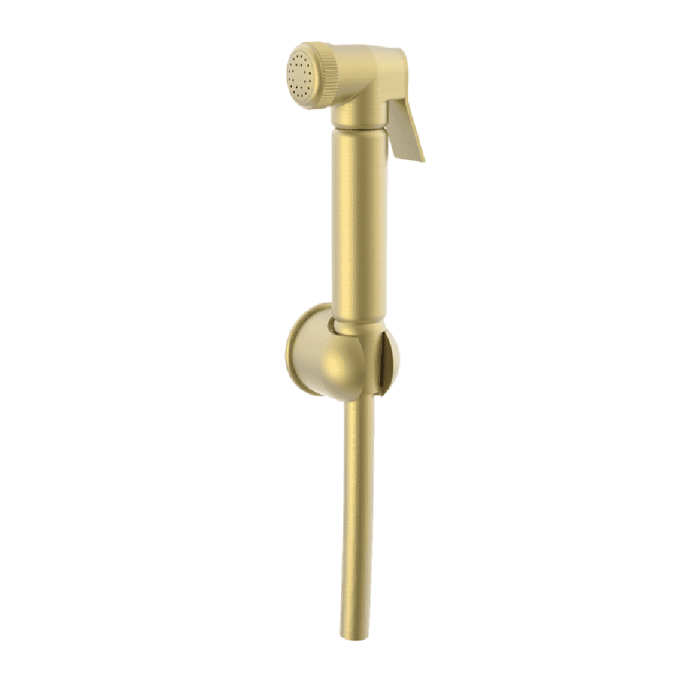 Astini Brushed Brass Round Douche Kit