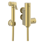 astini-brushed-brass-round-thermostatic-douche-kit-