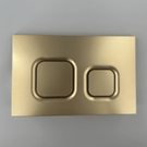 astini-brushed-brass-dual-flush-plate-