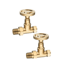 astini-maesteg-industrial-brushed-brass-straight-radiator-valve-