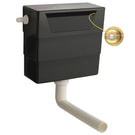 hudson-reed-universal-access-toilet-cistern--brushed-brass-flush-plate--xty6t03-